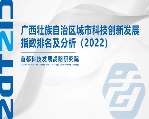 日本大骚逼【成果发布】广西壮族自治区城市科技创新发展指数排名及分析（2022）